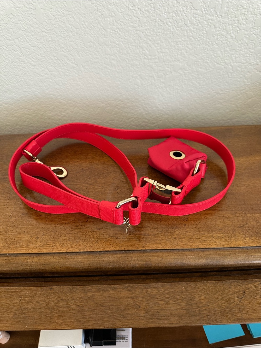 Express Red Dog Leash and Collar with Matching Waste Pouch and Gold Hardware